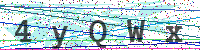 Enter Security Code