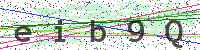 Sicherheitscode eingeben