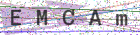 Enter Security Code
