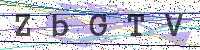 Enter Security Code