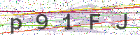 Enter Security Code