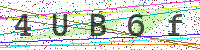 Enter Security Code