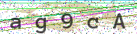 Sicherheitscode eingeben