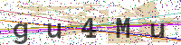 Enter Security Code
