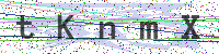 Enter Security Code