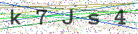 Enter Security Code