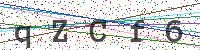 Enter Security Code