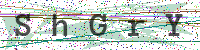 Enter Security Code