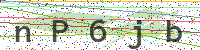 Enter Security Code