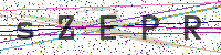 Enter Security Code