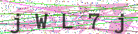 Enter Security Code