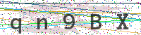 Enter Security Code