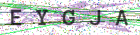 Enter Security Code