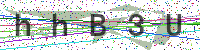 Enter Security Code