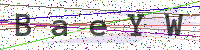 Enter Security Code