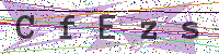 Enter Security Code