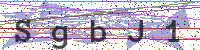 Sicherheitscode eingeben
