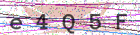 Enter Security Code