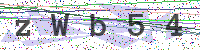 Enter Security Code
