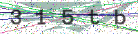 Enter Security Code