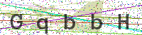 Enter Security Code