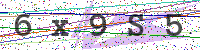 Enter Security Code