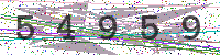 Enter Security Code