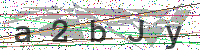 Enter Security Code