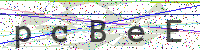 Enter Security Code