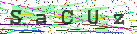 Enter Security Code