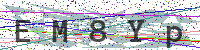 Enter Security Code