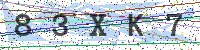 Enter Security Code