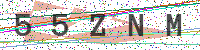 Enter Security Code