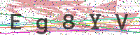 Enter Security Code