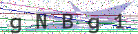 Sicherheitscode eingeben