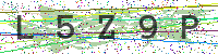 Enter Security Code