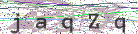 Enter Security Code