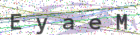 Sicherheitscode eingeben
