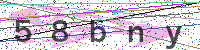 Enter Security Code
