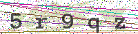 Enter Security Code