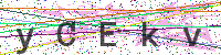 Enter Security Code