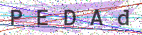 Enter Security Code
