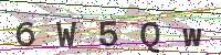 Enter Security Code