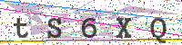 Enter Security Code