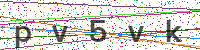 Enter Security Code
