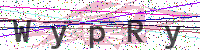 Enter Security Code