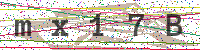 Sicherheitscode eingeben