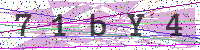 Sicherheitscode eingeben