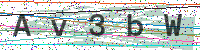 Enter Security Code