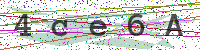 Enter Security Code